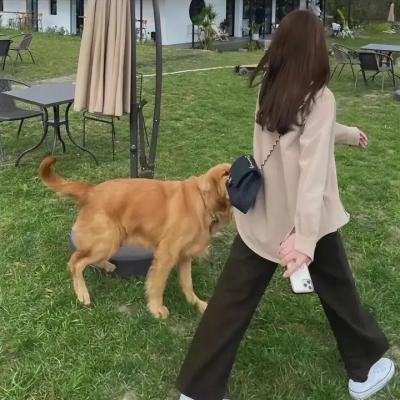 火烧御手洗家
